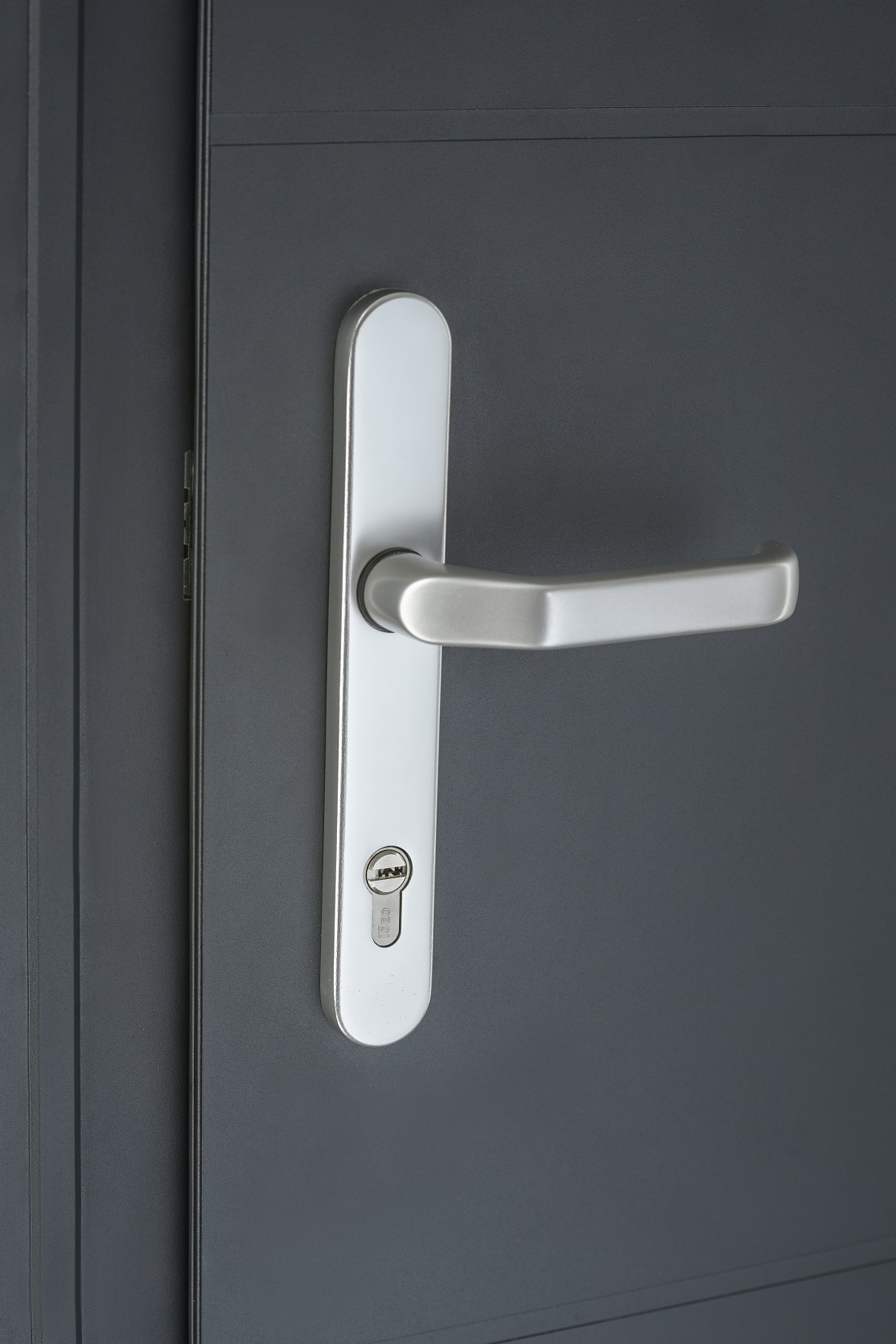 Contemporary Series Aluminium Entrance Doors : Spitfire Doors UK